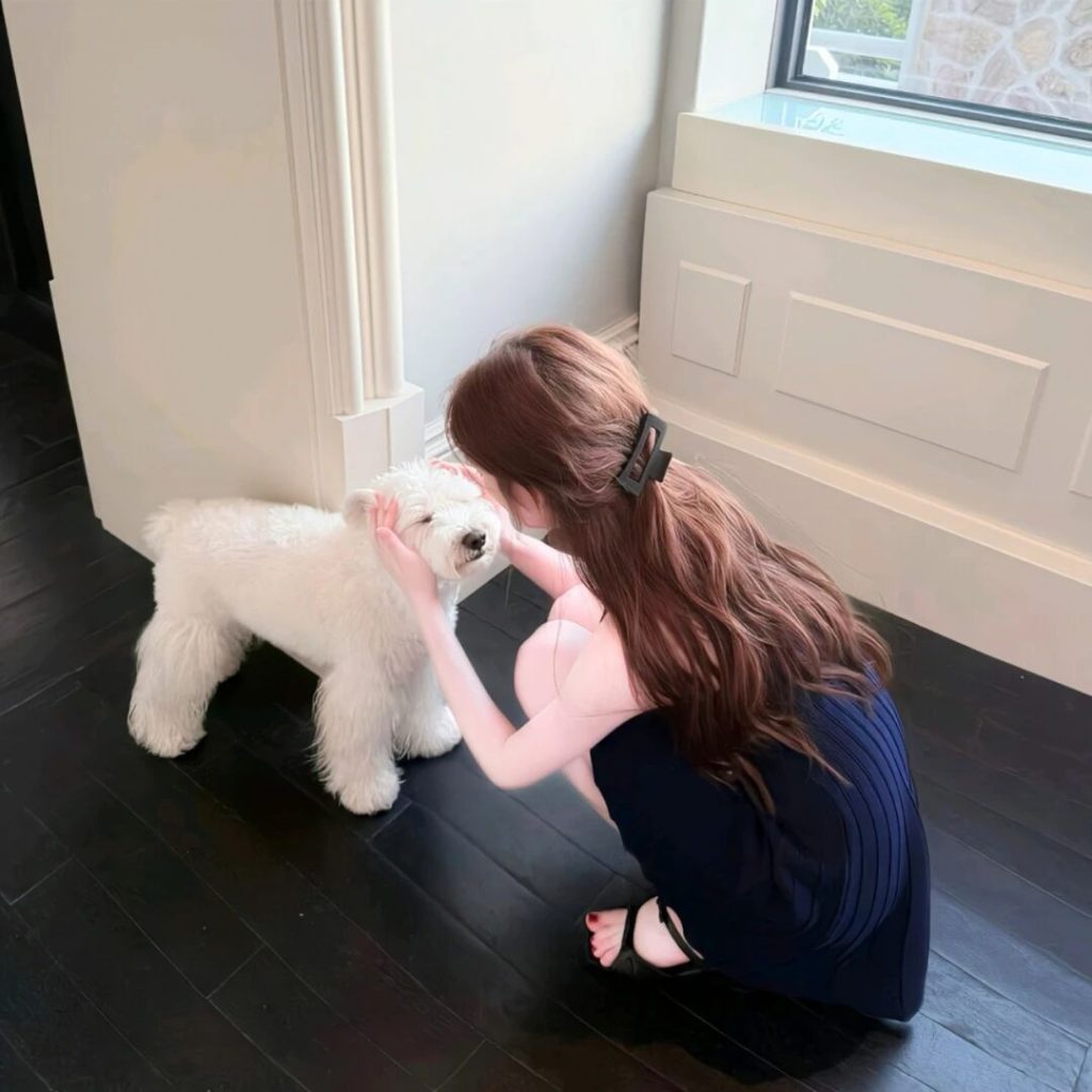 156005c5ba20251223212732