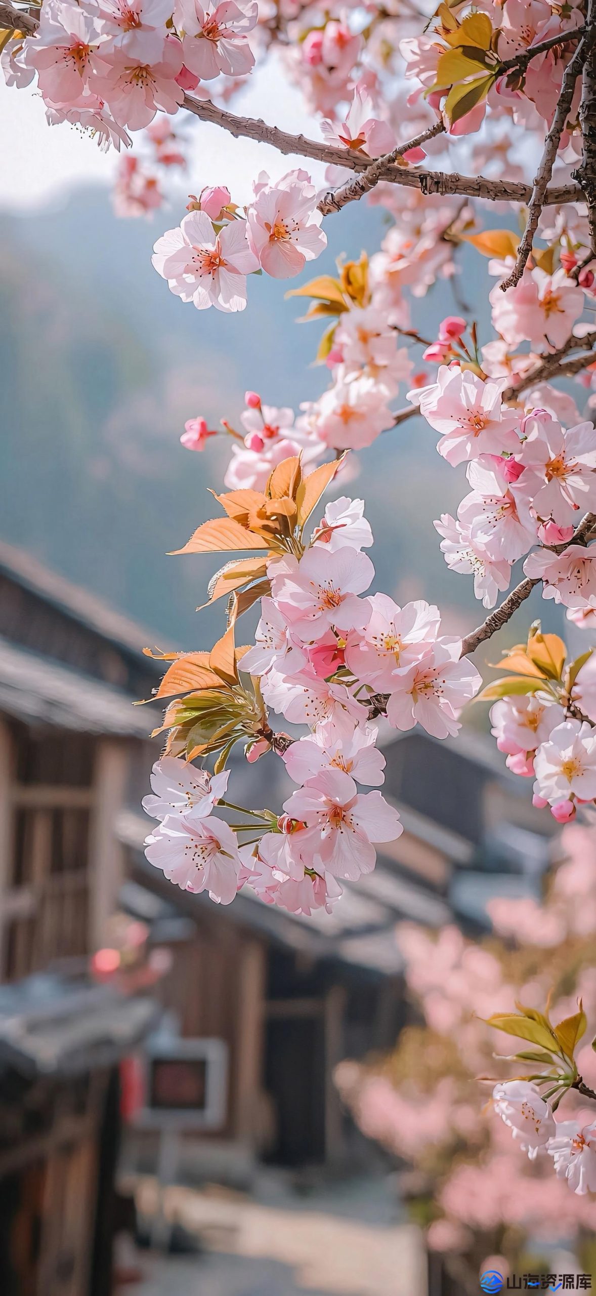 幻灯片-山海资源库