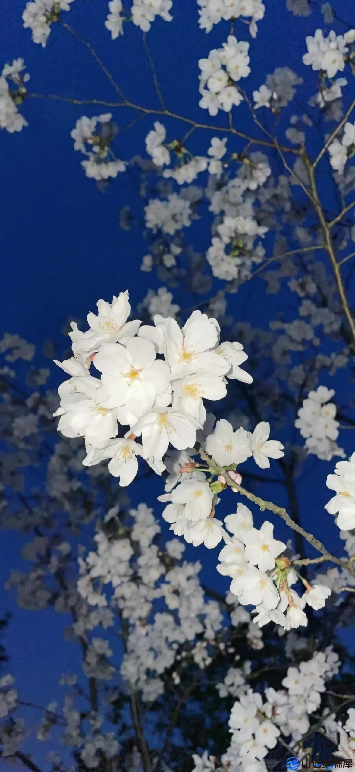 幻灯片-山海资源库