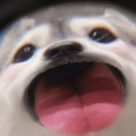 茶茶的头像-山海资源库