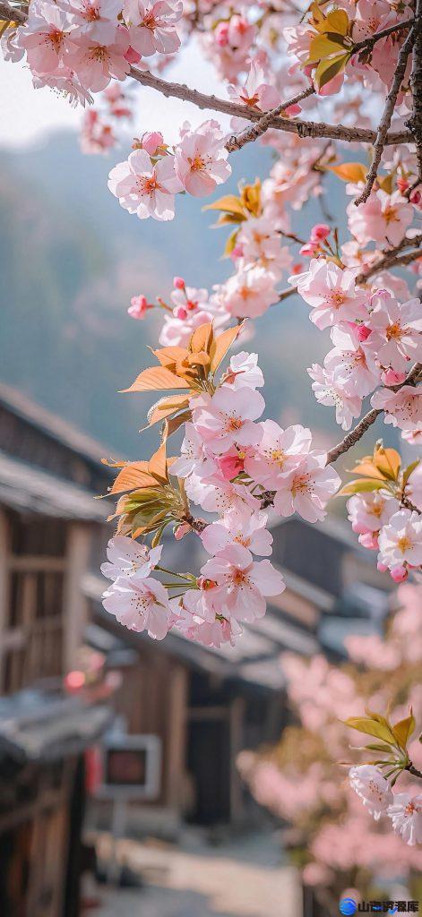 2e8e85854920251209192129