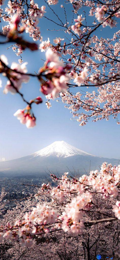 90fd961e8320251209192115